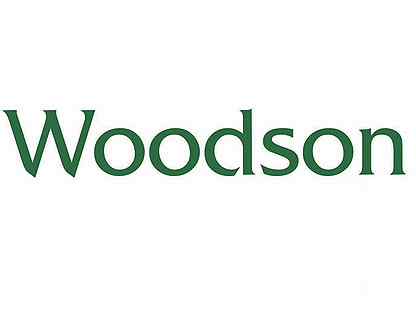 Логотип Woodson Лого Woodson на сайте интернет-магазина Печной Эксперт